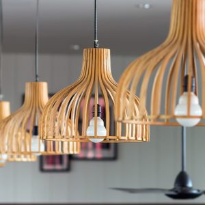 Elegant Pendant Light
